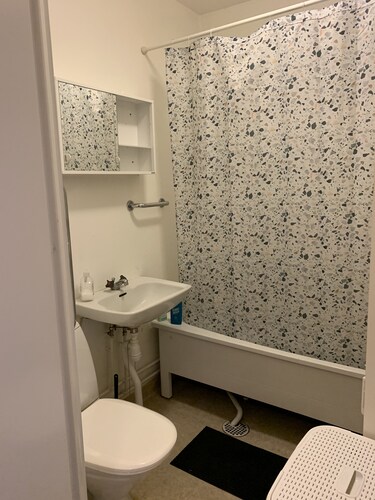 Unique studio in Malmö city