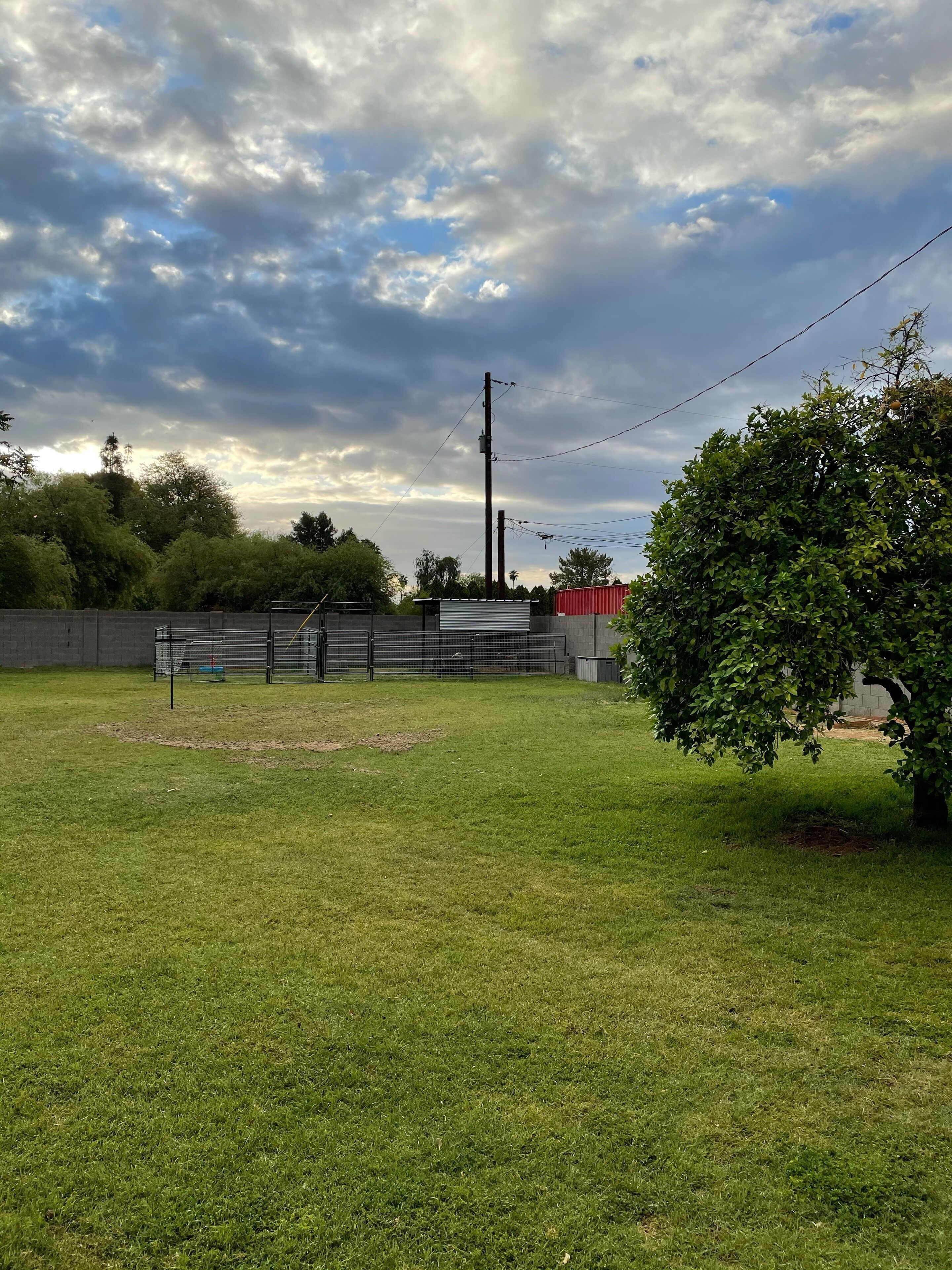 A grassy field with a fenced area, a red building, and a utility pole.