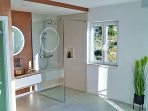 Shower, hair dryer, towels