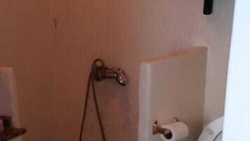 Traditional Apartment | Bathroom | Shower, hair dryer, towels, soap