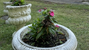 Un edificio con fachada de ladrillo y un letrero que dice "Ode". Hay dos macetas con flores en primer plano.