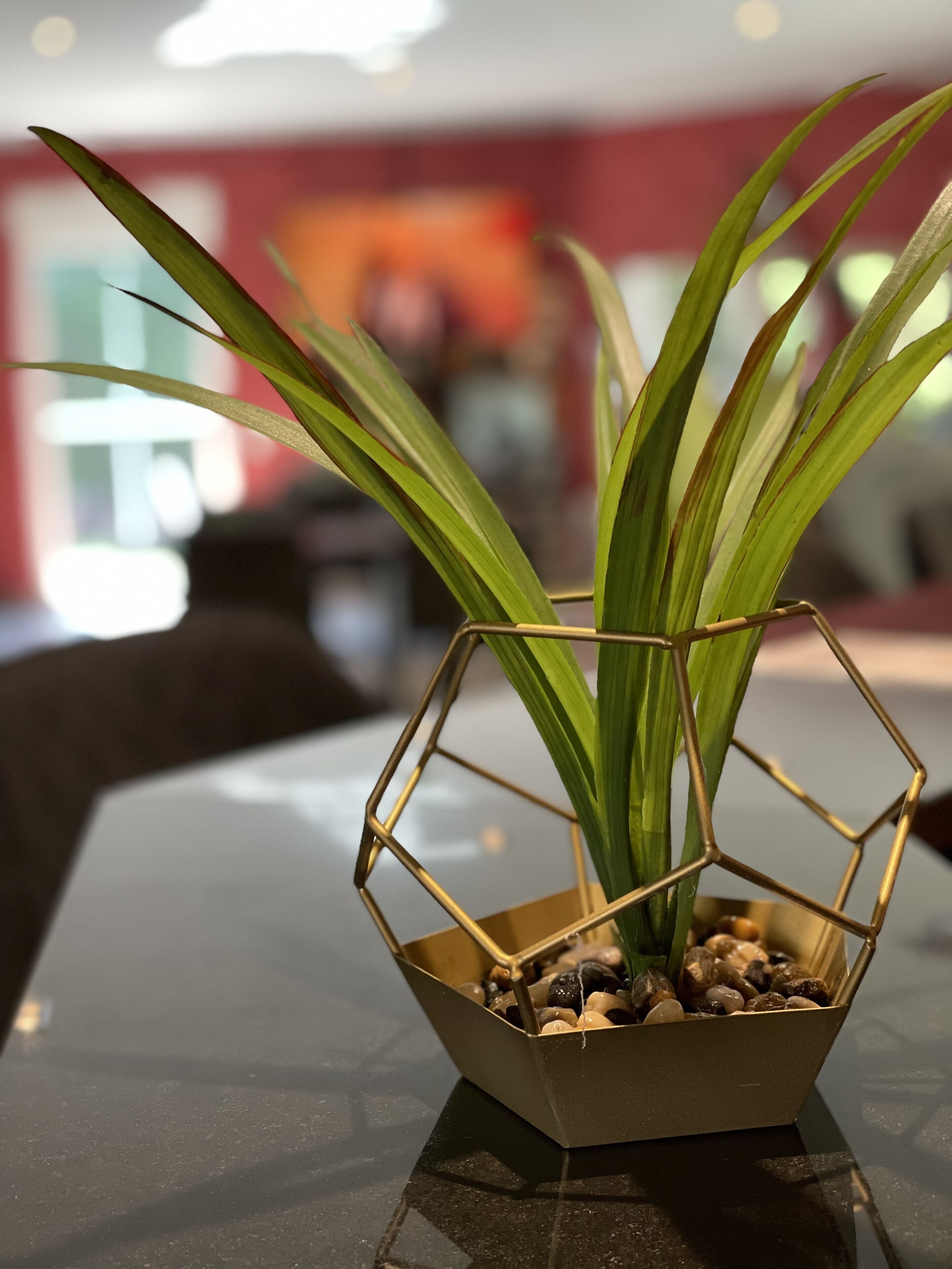 A hexagonal planter with a plant on a reflective surface.
