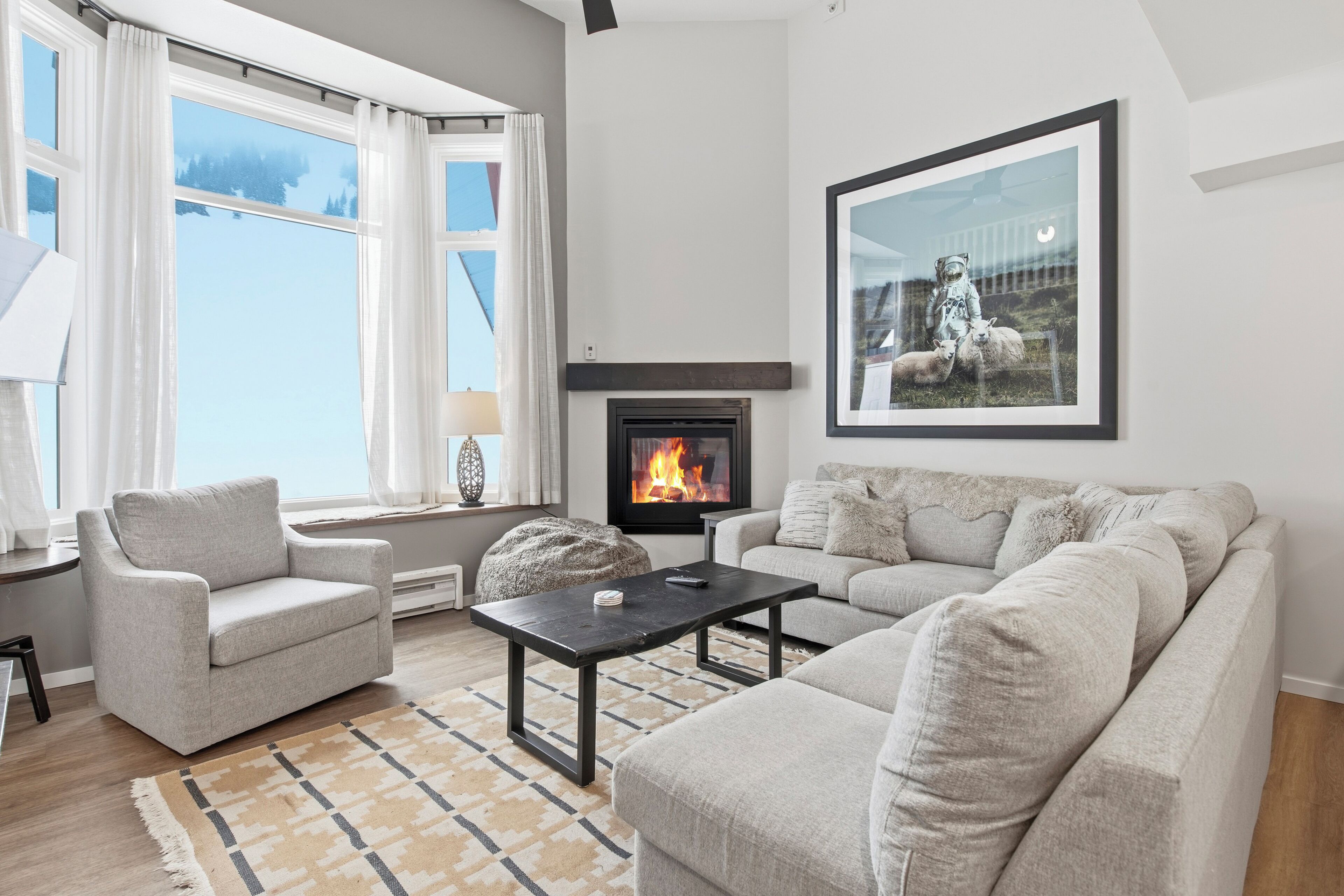 TV, fireplace, books