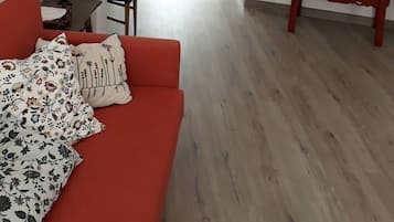 Smart TV, DVD player, books