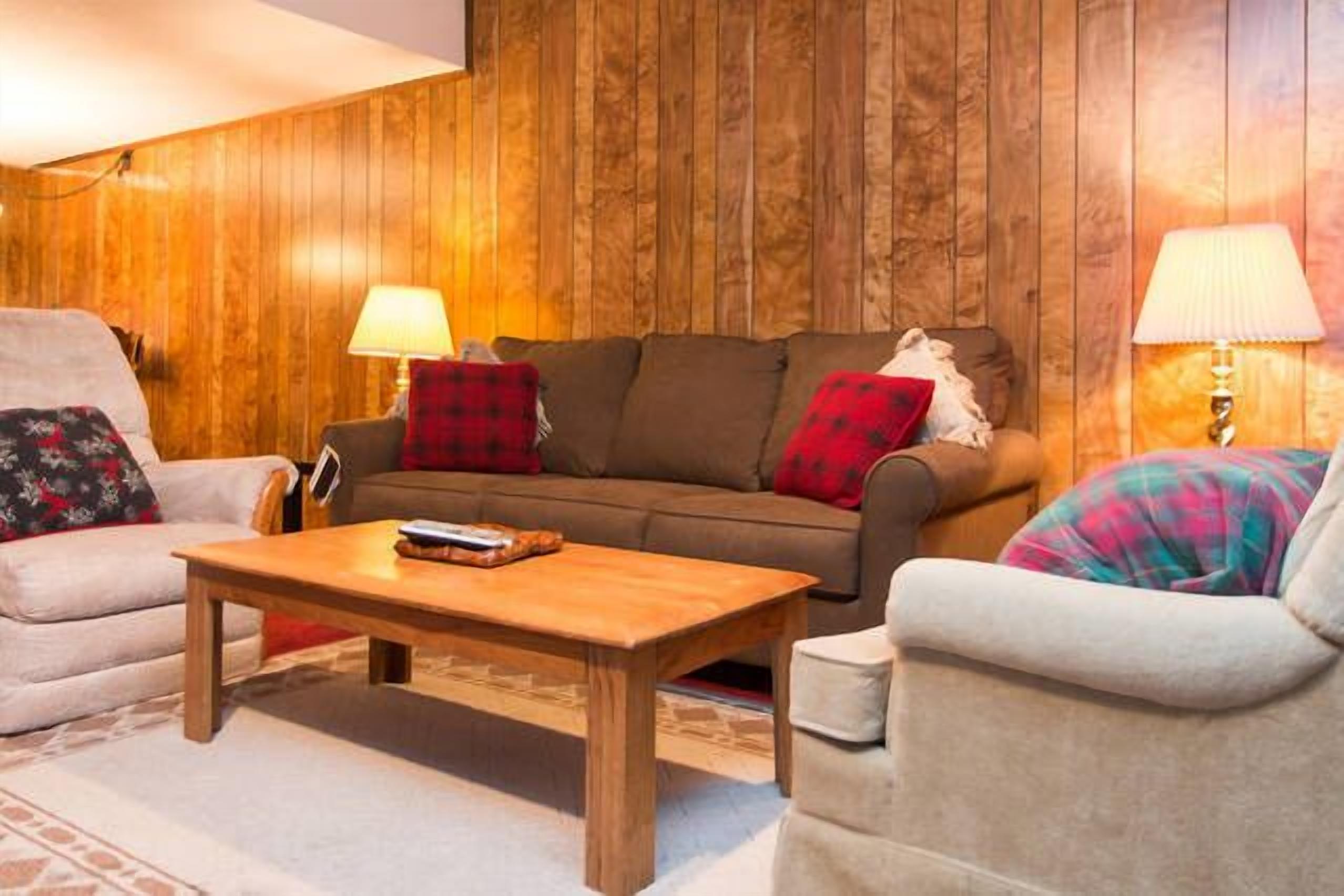 智能电视、壁炉、DVD 播放器