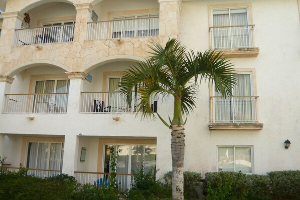 Un edificio de varios pisos con balcones, ventanas y una palmera en primer plano.