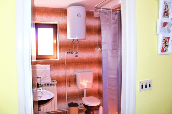 A bathroom with a toilet, sink, and shower curtain.