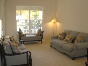 TV, fireplace, DVD player, books