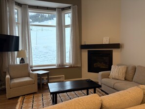 TV, fireplace, books