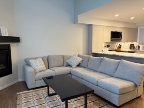 TV, fireplace, books