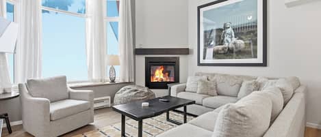 TV, fireplace, books