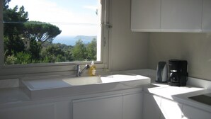 Eine Küche mit Fenster, Spüle, Kaffeemaschine und einer Flasche Geschirrspülmittel.