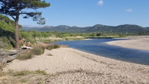 Plage, chaises longues