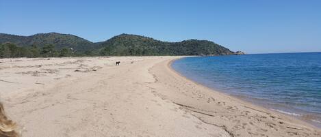 Plage, chaises longues