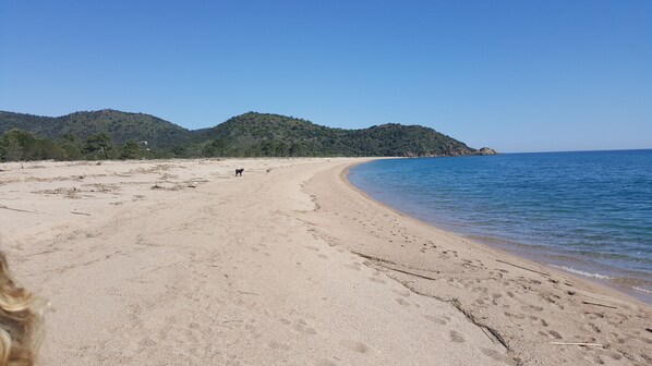 Plage, chaises longues