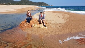 Tre personer sidder på en stenet strand med en hund, mens de ser ud over havet og bakker i baggrunden.