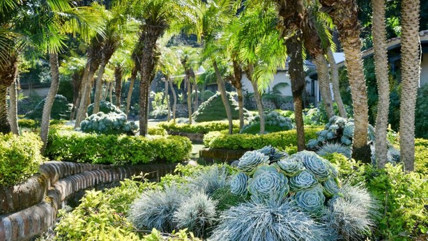 Ein Garten mit Palmen, Kakteen und gepflegten Hecken.