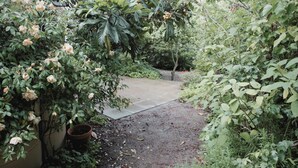 Ein Gartenweg, umgeben von üppigem Grün und blühenden Pflanzen.
