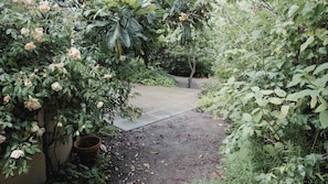 A garden pathway surrounded by lush greenery and flowering plants.