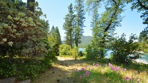A natural landscape with a dirt path, trees, and purple flowers. - Lake Shore - Lake Front (Bass Lake)