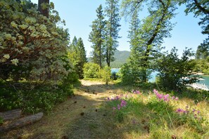 Property grounds - Lake Shore - Lake Front (Bass Lake)