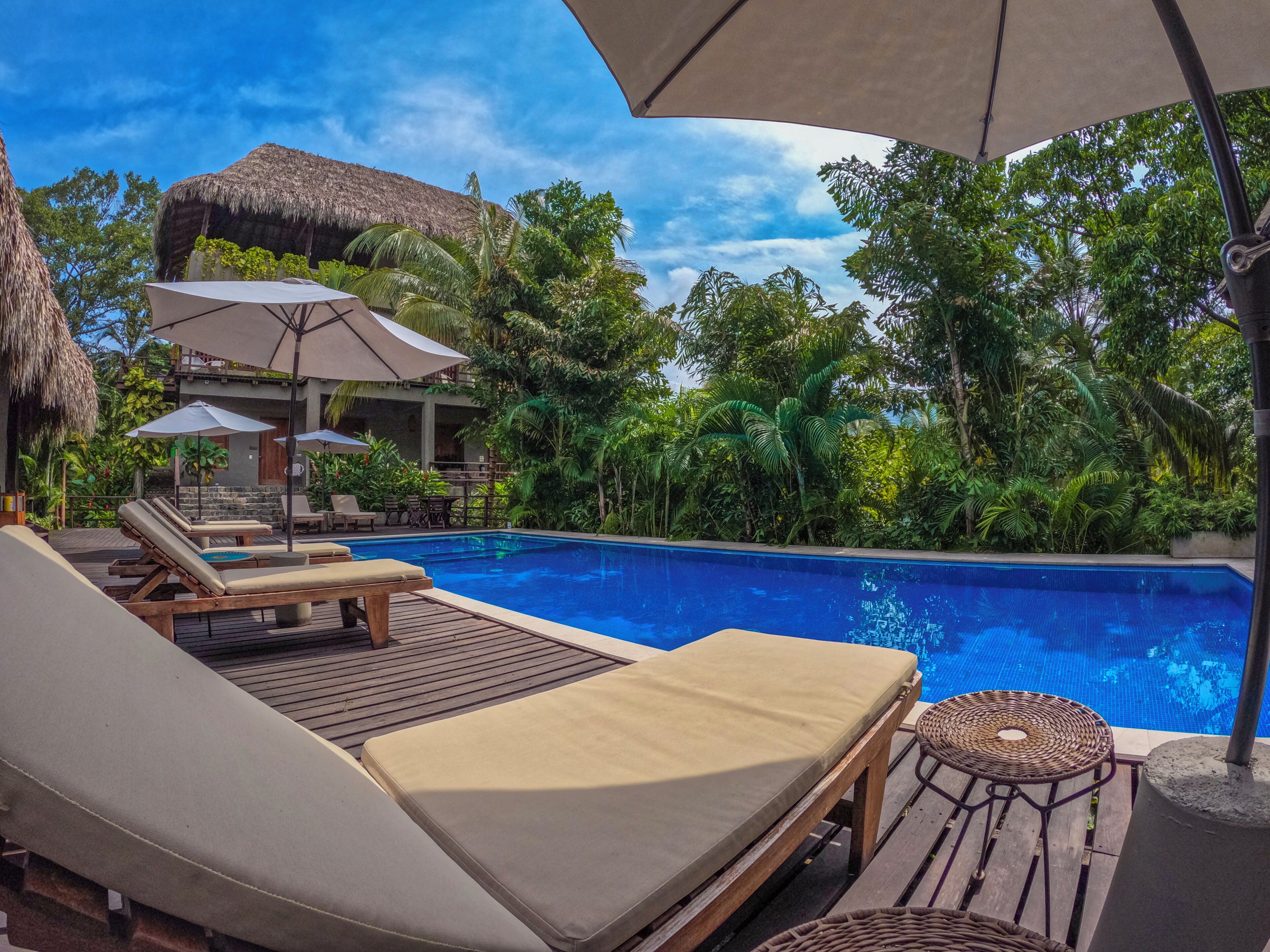 Outdoor pool, open 9:00 AM to 9:00 PM, sun loungers