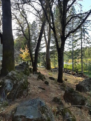 Metsäinen alue, jossa on sorapolku, suuria kiviä ja puita.