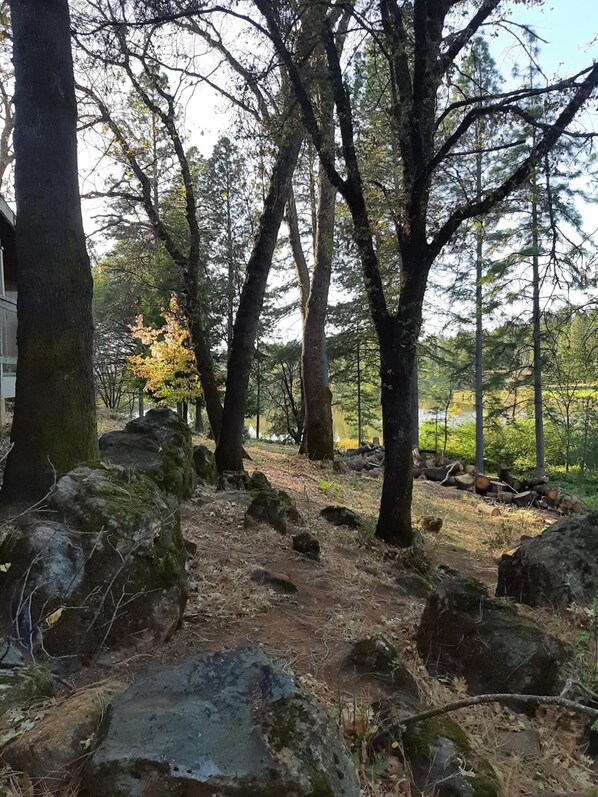 Property grounds - Alta Sierra Village Inn (Grass Valley)