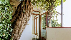 A hallway with a large tree trunk, a glass door, and a tiled floor.