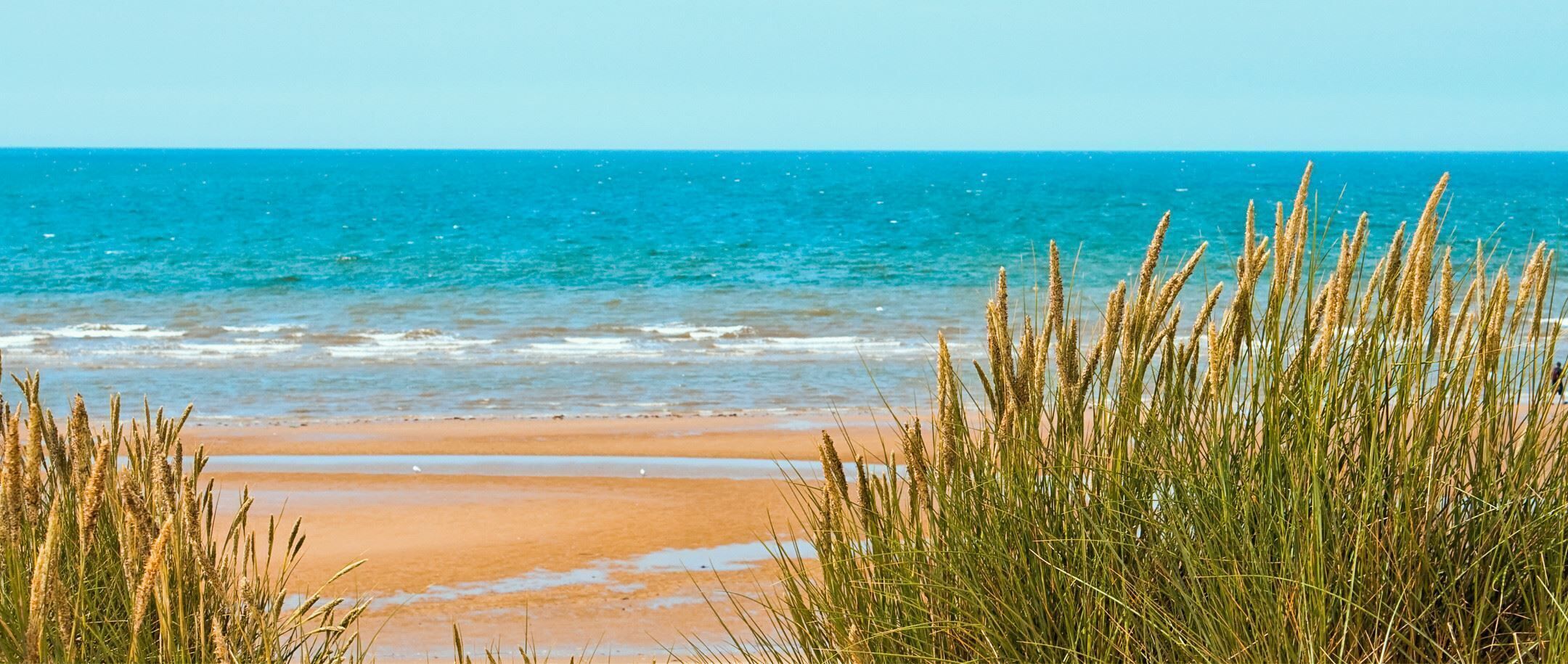 Watch the Dolphins play in the Atlantic while the gentle waves roll in. 