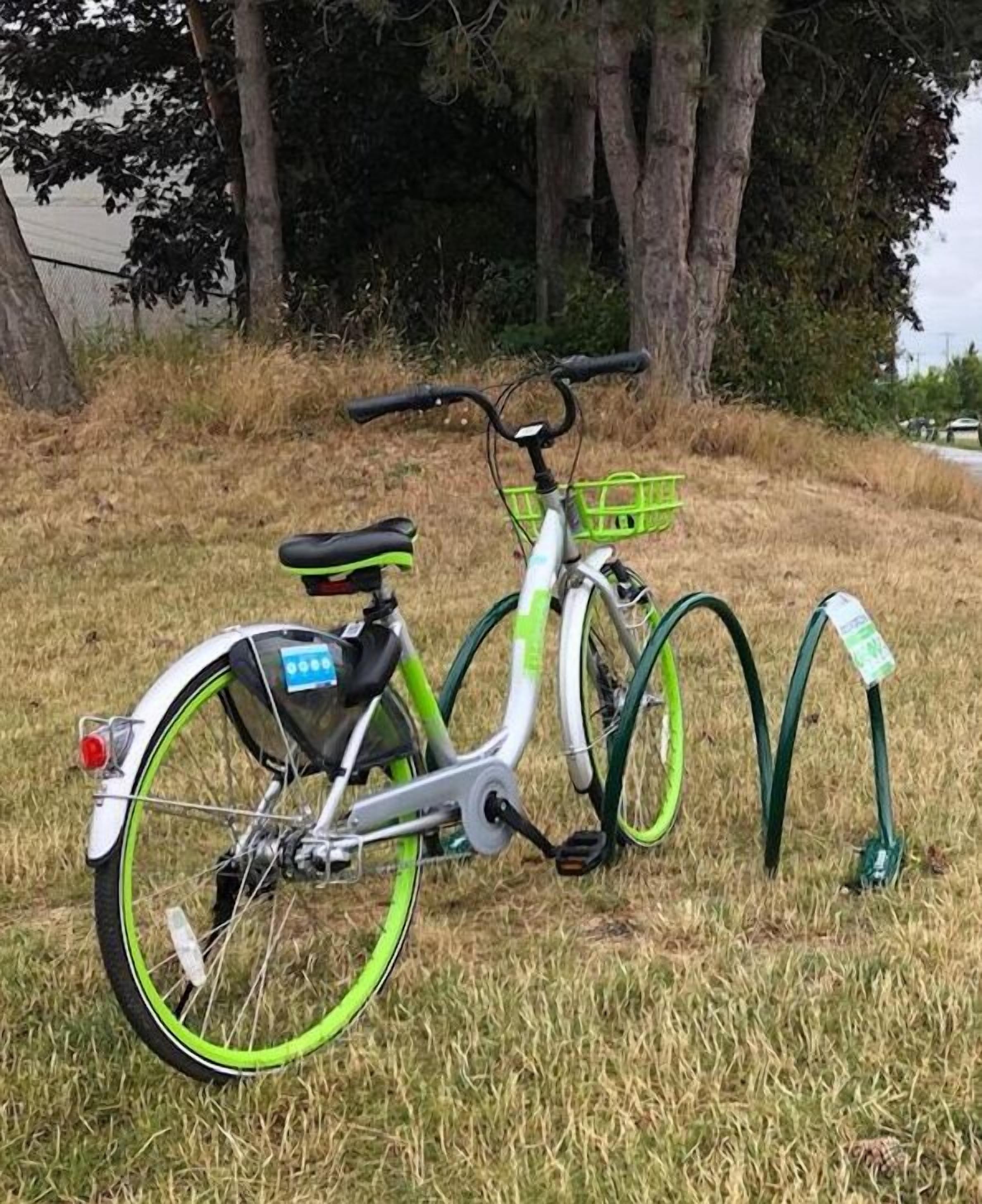 A bicycle with a green and white frame, a basket, and a rear rack, parked on grass with trees in the background.