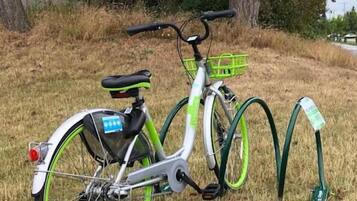 A bicycle with a green and white frame, a basket, and a rear rack, parked on grass with trees in the background.