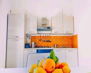 Fridge, oven, stovetop, coffee/tea maker
