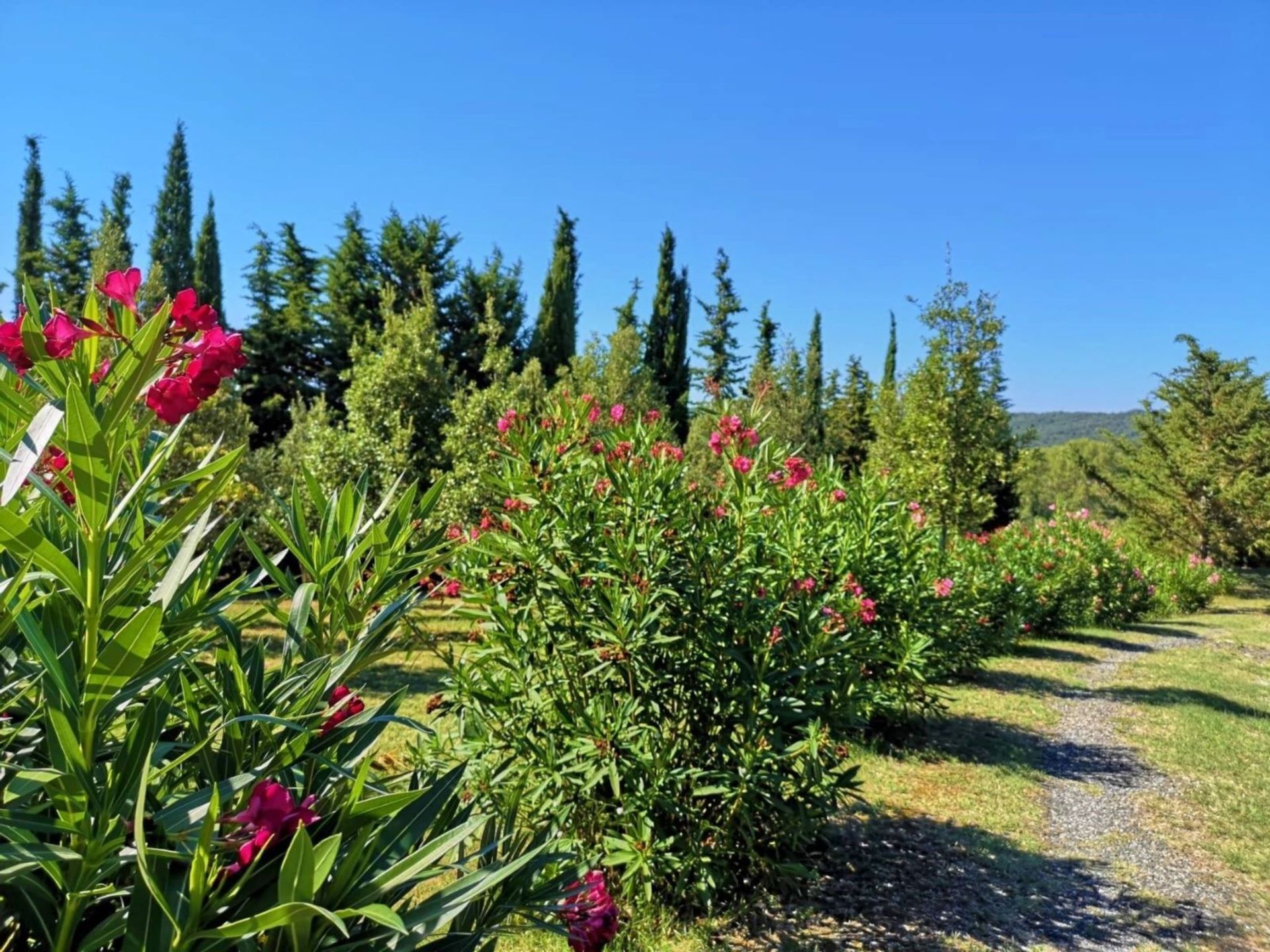 Parco della struttura