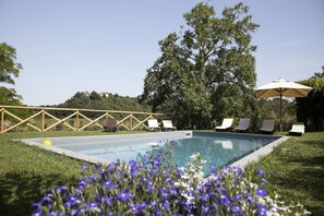 Una piscina con sillas de descanso y una sombrilla, rodeada de vegetación y una cerca de madera.