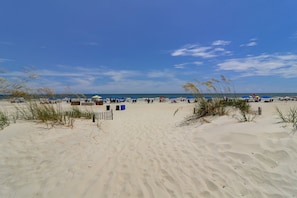 Plage à proximité, chaises longues, serviettes de plage