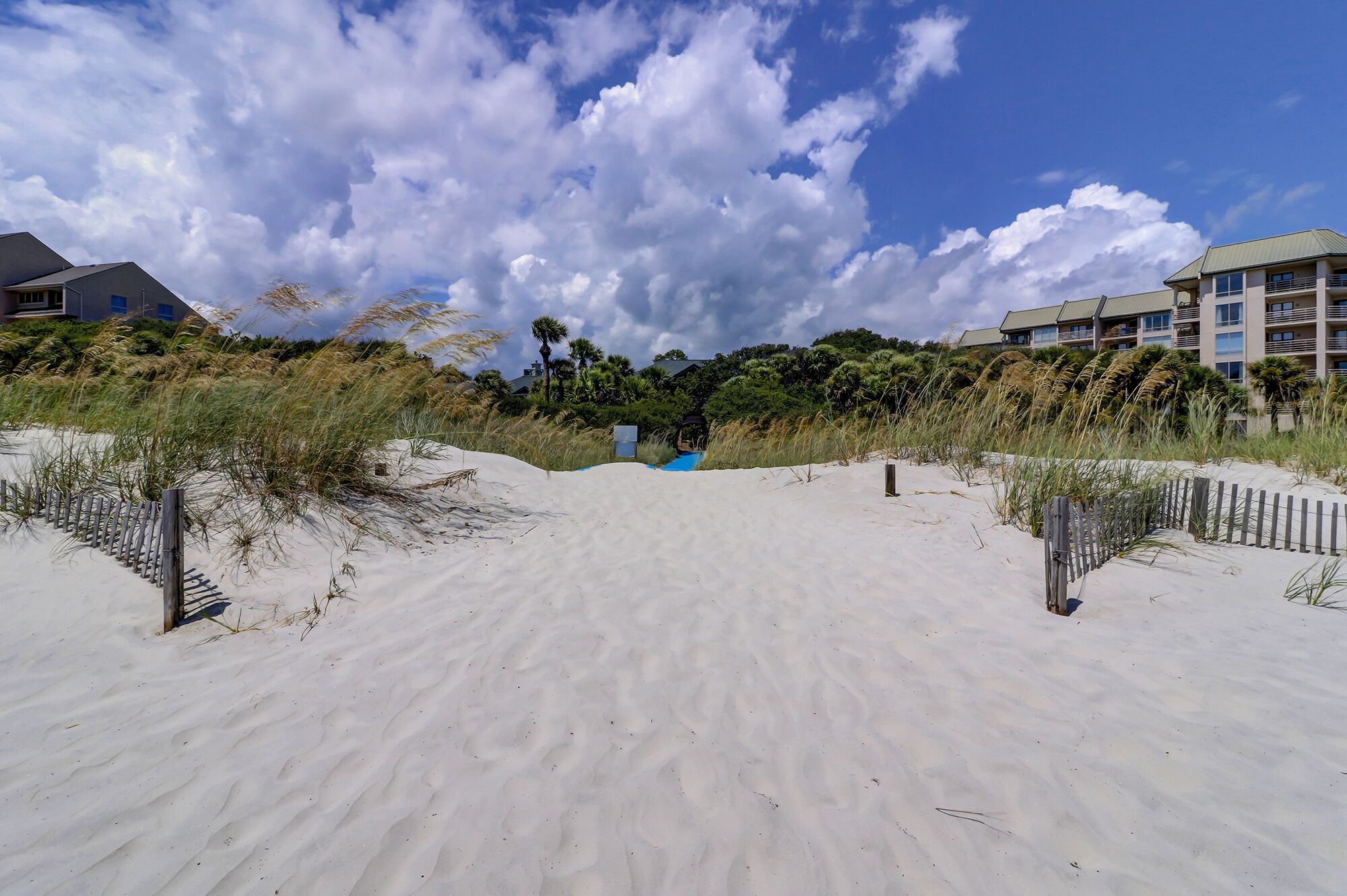 Ein sandiger Strand mit blauem Himmel und Palmen. Im Hintergrund sind Gebäude zu sehen.