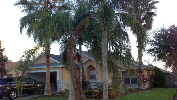 Exterior - Indian Pointe 5 bed / 3 Bath Home (Kissimmee)