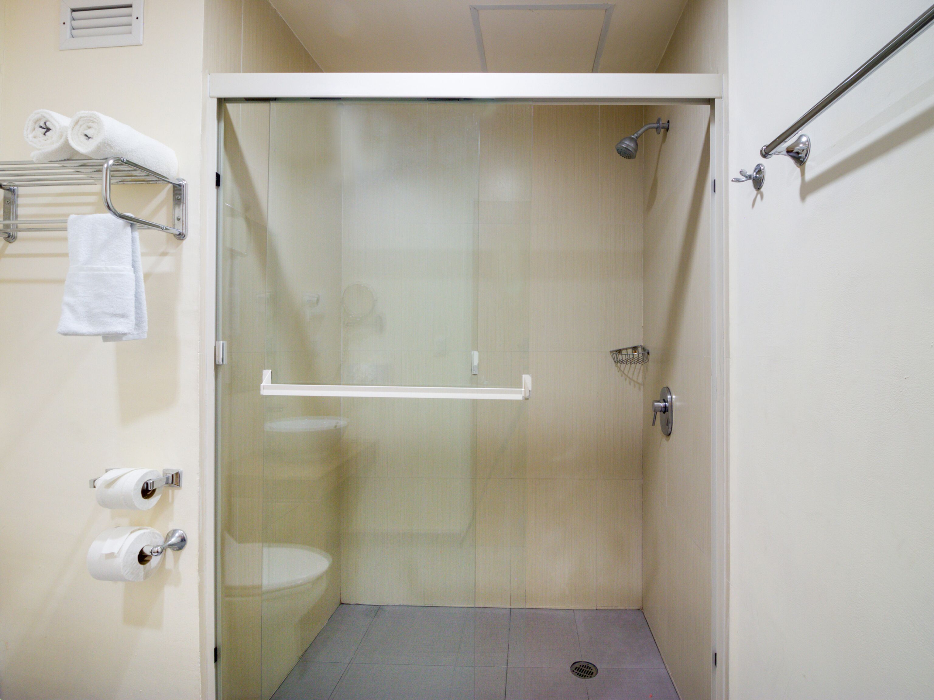 A small, enclosed shower area with a glass door, a toilet, and a towel rack with towels.