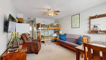 Televisio, DVD-soitin, videokirjasto