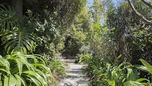 A gravel path surrounded by lush greenery and trees. - Hilltop Getaway - Superb Sea & Mountain Views with Spa pool! (Nelson)