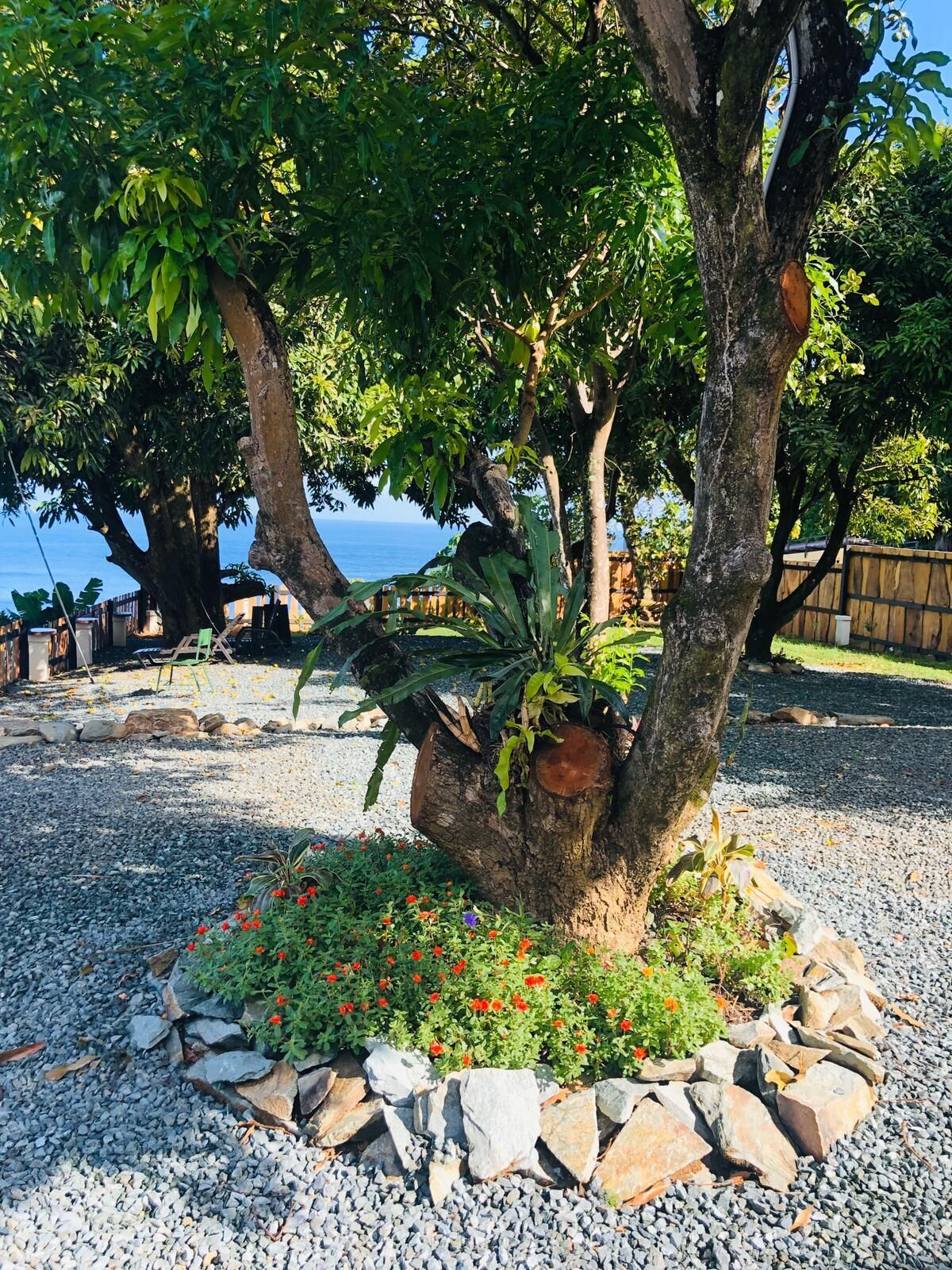 A tree with a rock planter and red flowers in a gravel area.