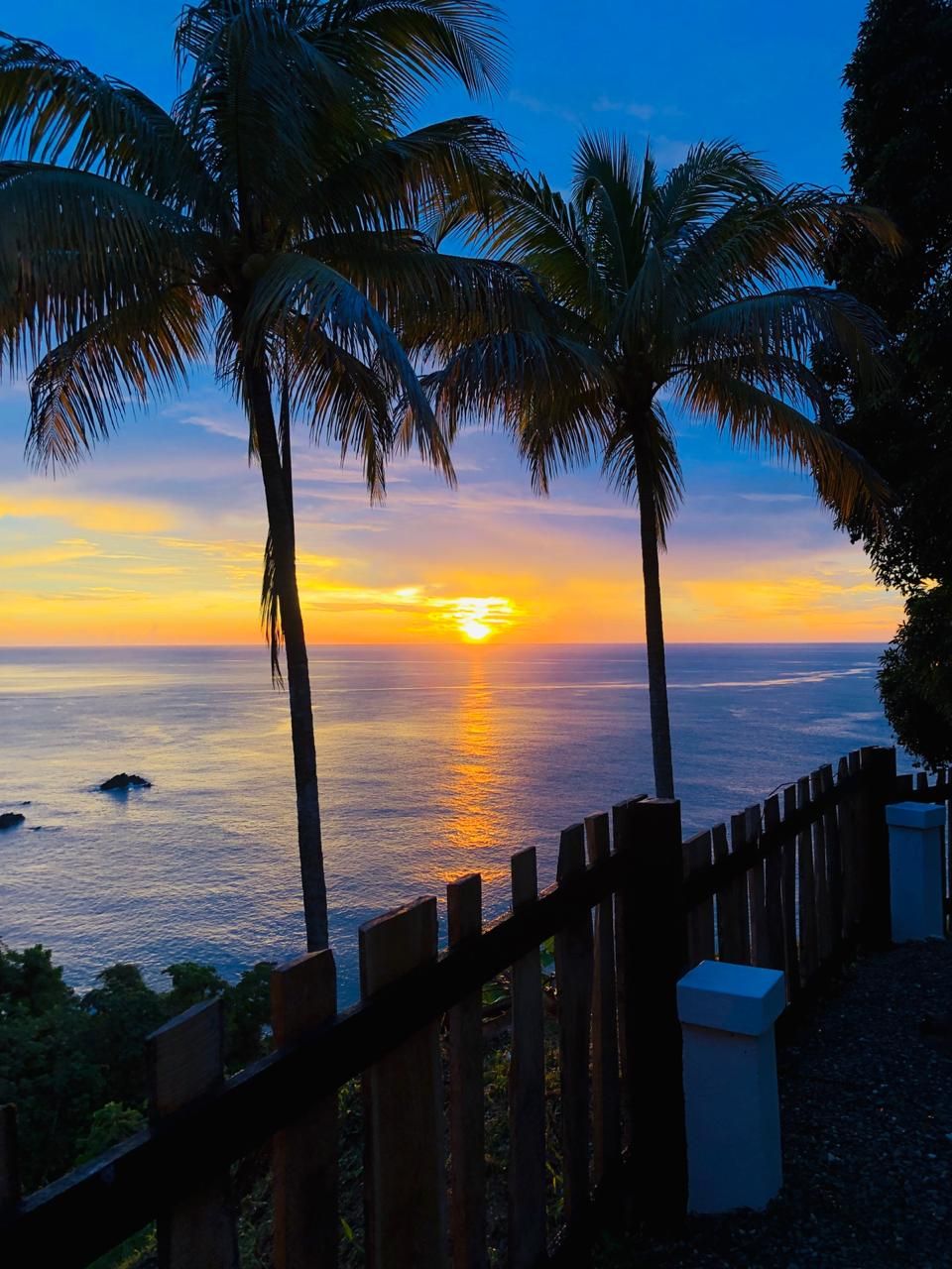 A sunset view over the ocean with palm trees and a wooden fence.