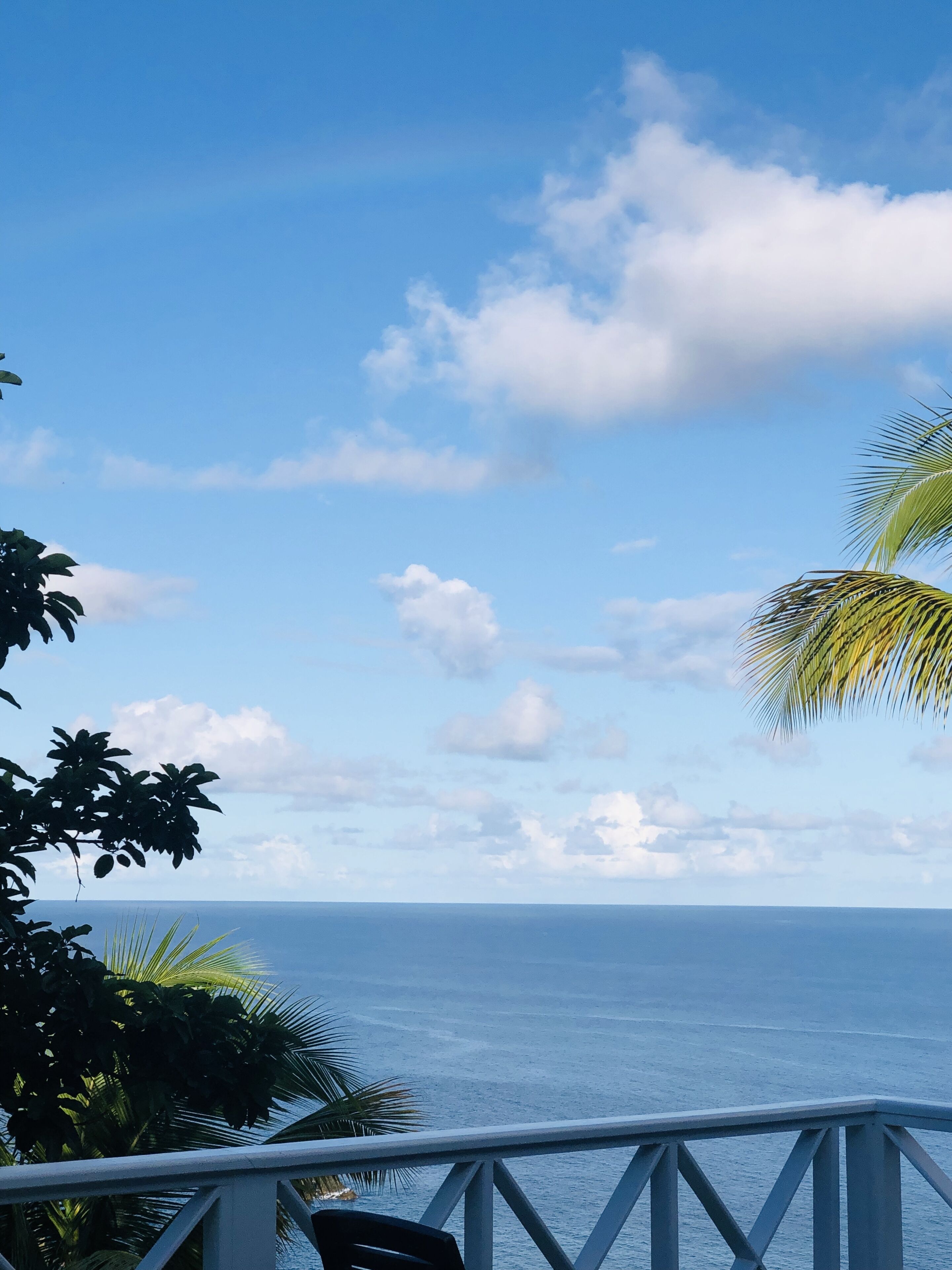 Un balcon avec vue sur l’océan et les palmiers.