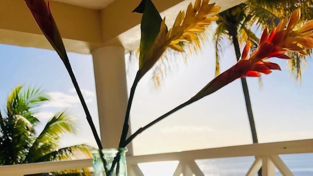 A table with a glass vase containing a plant and several fruits, set on a balcony with a view of the sea and palm trees. - Castara Inn (Castara)