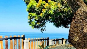 A garden with red flowers and a wooden fence overlooking a body of water. - Castara Inn (Castara)