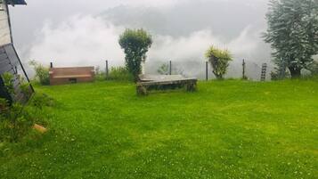 Un espacio al aire libre con césped, un banco, un pequeño edificio y un árbol.