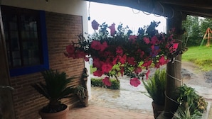 Un bâtiment en briques avec une fenêtre à cadre bleu, un pot de fleurs et une composition florale suspendue.