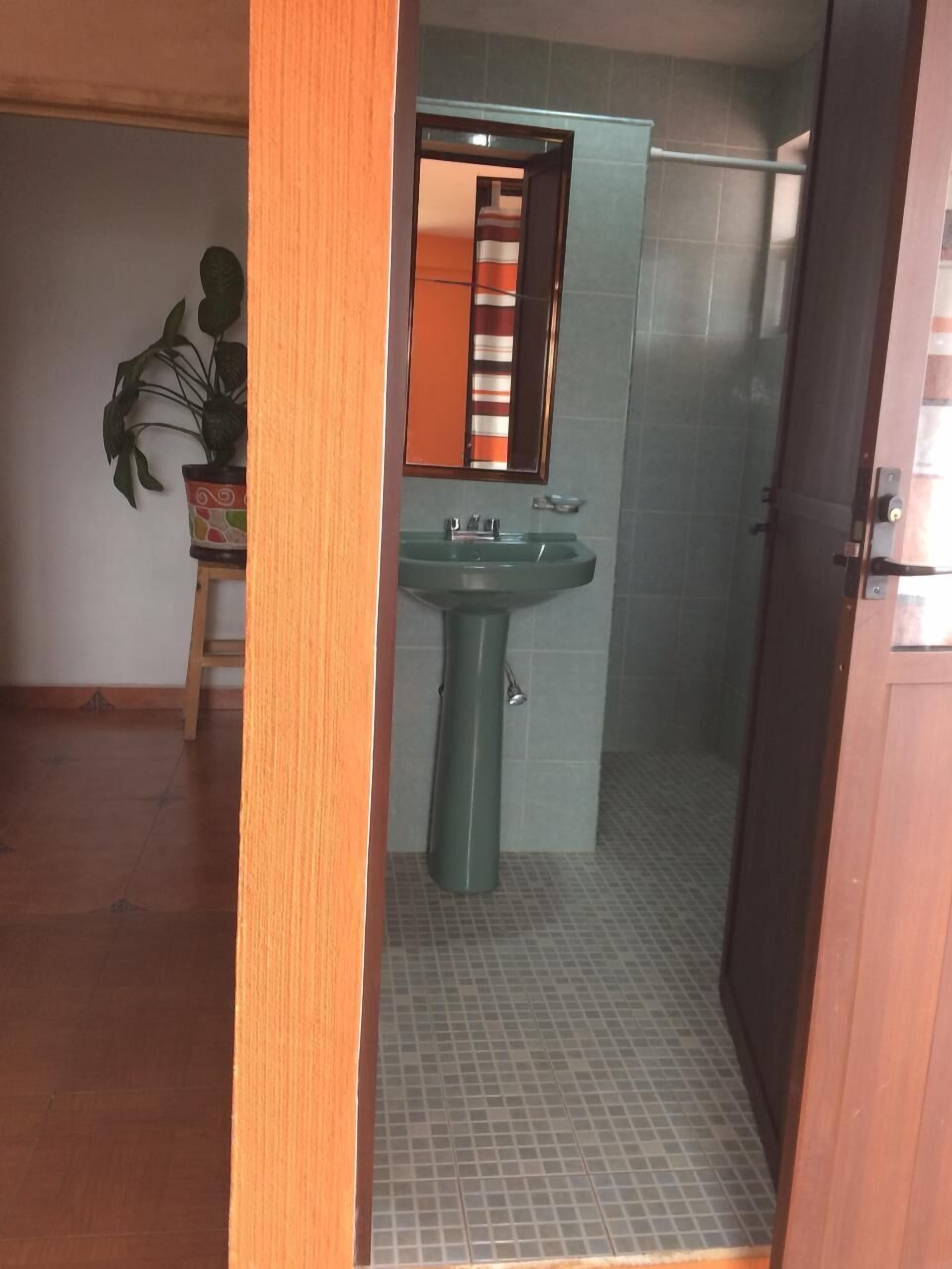Un baño con lavamanos verde, un espejo y una zona de ducha.