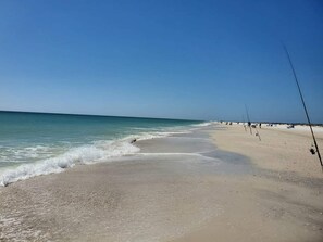 Lettini da mare